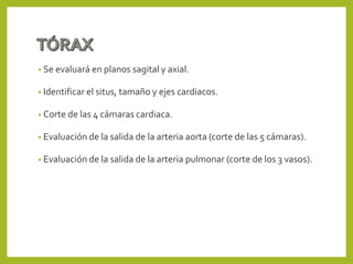 • Se evaluará en planos sagital y axial.
• Identificar el situs, tamaño y ejes cardiacos.
• Corte de las 4 cámaras cardiaca.
• Evaluación de la salida de la arteria aorta (corte de las 5 cámaras).
• Evaluación de la salida de la arteria pulmonar (corte de los 3 vasos).
 