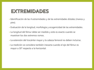 • Identificación de las 4 extremidades y de las extremidades distales (manos y
pies).
• Evaluación de la longitud, morfología y ecogenicidad de las extremidades.
• La longitud del fémur debe ser medido y este es exacto cuando se
muestran los dos extremos romos.
• La extensión del trocánter mayor y la cabeza femoral no deben incluirse.
• La medición se considera también inexacta cuando el eje del fémur es
mayor a 30° respecto a la horizontal.
 