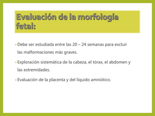 • Debe ser estudiada entre las 20 – 24 semanas para excluir
las malformaciones más graves.
• Exploración sistemática de la cabeza, el tórax, el abdomen y
las extremidades.
• Evaluación de la placenta y del líquido amniótico.
 