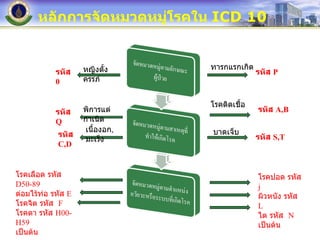 หลักการจัดหมวดหมู่โรคใน  ICD 10 หญิงตั้งครรภ์ รหัส  0 ทารกแรกเกิด รหัส  P พิการแต่กำเนิด เนื้องอก ,  มะเร็ง รหัส  Q รหัส  C,D โรคติดเชื้อ บาดเจ็บ รหัส  A,B รหัส  S,T โรคเลือด รหัส  D50-89 ต่อมไร้ท่อ รหัส  E โรคจิต   รหัส  F โรคตา รหัส  H00-H59 เป็นต้น โรคปอด รหัส  j ผิวหนัง รหัส  L ไต รหัส  N เป็นต้น 