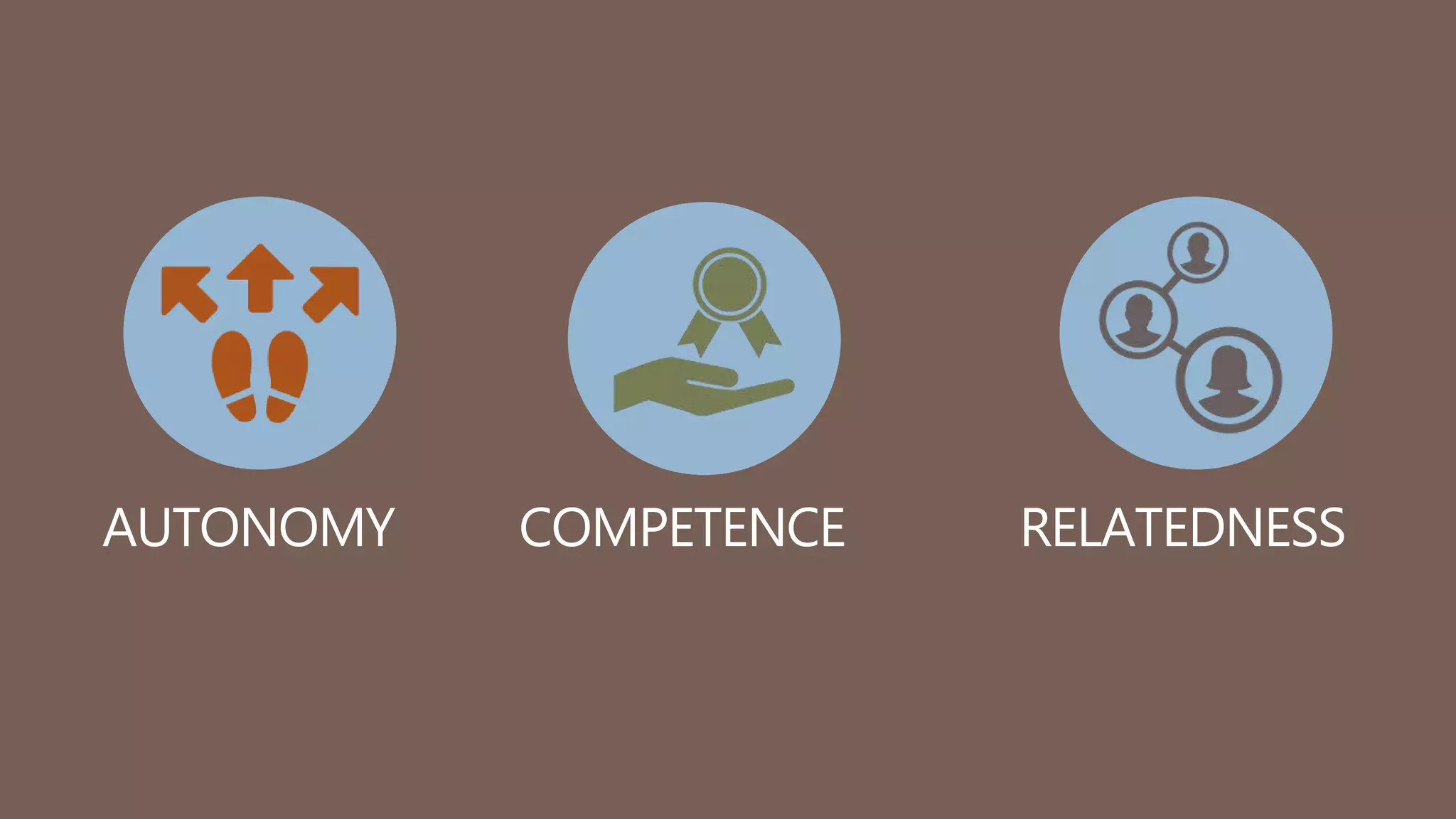 AUTONOMY COMPETENCE RELATEDNESS
 