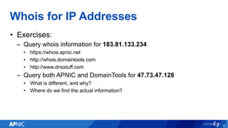 The 7 Best IP Address Trackers - DNSstuff