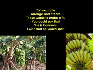 For example Arrange and create These words to make a fit. You could say that "He is bananas! I wish that he would  split ! 