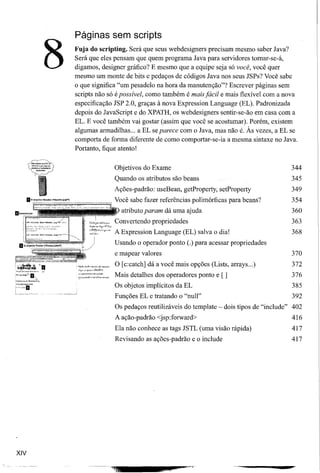 Páginas sem scripts


      8   Fuja do scripting. Será que seus webdesigners precisam mesmo saber Java?
          Será que eles pensam que quem programa Java para servidores tomar-se-á,
          digamos, designer gráfico? E mesmo que a equipe seja só você, você quer
          mesmo um monte de bits e pedaços de códigos Java nos seus JSPs? Você sabe
          o que significa "um pesadelo na hora da manutenção"? Escrever páginas sem
          scripts não só é possível, como também é mais fácil e mais flexível com a nova
          especificação JSP 2.0, graças à nova Expression Language (EL). Padronizada
          depois do JavaScript e do XPATH, os webdesigners sentir-se-ão em casa com a
          EL. E você também vai gostar (assim que você se acostumar). Porém, existem
          algumas armadilhas ... a EL se parece com o Java, mas não é. Às vezes, a EL se
          comporta de forma diferente de como comportar-se-ia a mesma sintaxe no Java.
          Portanto, fique atento!


                                                            Objetivos do Exame                                               344
                                                            Quando os atributos são beans                                    345
                                                            Ações-padrão: useBean, getProperty, setProperty                  349
                                                            Você sabe fazer referências polimórficas para beans?             354
                                                              atributo param dá uma ajuda                                    360
                                                            Convertendo propriedades                                         363
                                                            A Expression Language (EL) salva o dia!                          368
                                                            Usando o operador ponto (.) para acessar propriedades
                                                            e mapear valores                                                 370
                                                            O [c:catch] dá a você mais opções (Lists, arrays ...)            372
           .""'<0"""   .•.••••.•••   '''<1''''<:;


           '9"",'~.,,<!~~",-,.~.".                  _~d~.   Mais detalhes dos operadores ponto e [ ]                         376
                                                            Os objetos implícitos da EL                                      385
                                                            Funções EL e tratando o "null"                                   392
                                                            Os pedaços reutilizáveis do template - dois tipos de "include"   402
                                                            A ação-padrão <jsp:forward>                                      416
                                                            Ela não conhece as tags JSTL (uma visão rápida)                  417
                                                            Revisando as ações-padrão e o include                            417




XIV
 