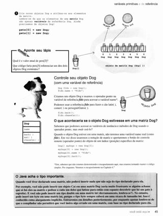 Use a Cabeça Java - 2ª Edição.pdf