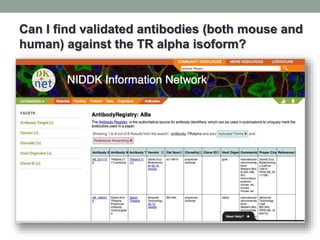 Can I find validated antibodies (both mouse and
human) against the TR alpha isoform?
 