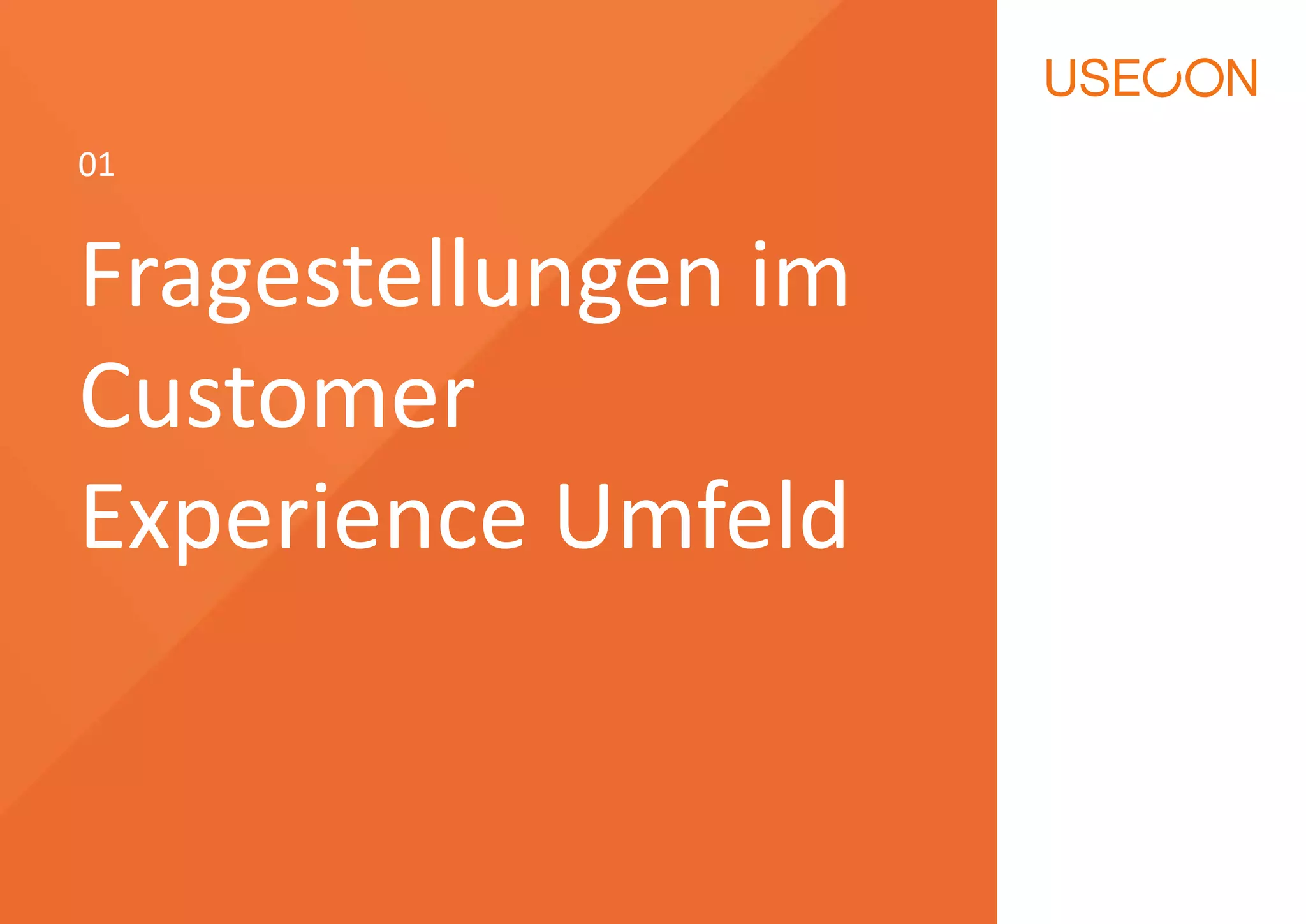 01 
Fragestellungen im 
Customer 
Experience Umfeld 
 