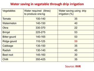 Water saving in vegetable through drip irrigation
Vegetables Water required (litres)
to produce one kg
Water saving using drip
irrigation (%)
Tomato 100-140 35
Watermelon 140-150 40
Okra 330-370 22
Brinjal 225-275 53
Bitter gourd 140-165 53
Ridge gourd 110-125 59
Cabbage 135-150 35
Radish 130-140 45
Beet root 145-160 30
Chilli 350-425 35
Source: IIVR
 