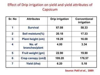 Sr. No Attributes Drip irrigation Conventional
irrigation
1 Survival 67.08 58.33
2 Soil moisture(%) 20.18 17.33
3 Plant height (cm) 19.29 16.08
4 No. of
branches/plant
4.00 3.34
5 Fruit weight (gm) 22.90 19.90
6 Crop canopy (cm2) 199.20 176.57
7 Yield (t/ha) 6.20 5.10
Effect of Drip irrigation on yield and yield attributes of
Capsicum
Source: Patil et al., 2009
 