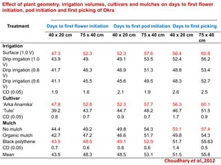 40 x 20 cm 75 x 40 cm 40 x 20 cm 75 x 40 cm 40 x 20 cm 75 x 40
cm
Irrigation
Surface (1.0 V) 47.3 52.3 52.3 57.6 56.4 60.8
Drip irrigation (1.0
V)
43.9 49. 49.1 53.5 52.4 56.2
Drip irrigation (0.8
V)
41.7 46.3 46.9 51.3 48.8 53.4
Drip irrigation (0.6
V)
41.1 45.5 45.6 49.5 48.3 52.7
CD (0.05) 1.9 1.6 2.1 1.9 2.6 2.5
Cultivar
‘Arka Anamika’ 47.8 52.8 52.3 57.7 56.3 60.1
‘Tulsi’ 39.2 43.7 44.7 48.2 46.7 51.5
CD (0.05) 0.8 0.7 0.9 0.7 1.7 0.9
Mulch
No mulch 44.4 49.2 49.8 54.3 53.1 57.4
Organic mulch 42.7 47.2 46.6 51.7 49.8 54.3
Black polythene 43.5 48.5 49.1 52.9 51.7 55.63
CD (0.05) 0.7 0.6 0.8 0.6 1.4 0.5
Mean 43.5 48.3 48.5 53.1 51.5 55.8
Effect of plant geometry, irrigation volumes, cultivars and mulches on days to first flower
initiation, pod initiation and first picking of Okra
Choudhary et al.,2012
Treatment Days to first flower initiation Days to first pod initiation Days to first picking
 