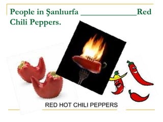 People in Şanlıurfa _____________Red
Chili Peppers.
RED HOT CHILI PEPPERS
 