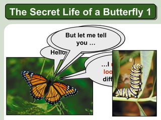 The Secret Life of a Butterfly 1

             I But Madame be
                 …I used to
               am let me tell
                  a caterpillar!
                   you …
               Butterfly …
         Hello!
                          … and I am
                           …I used to
                           beautiful!
                             look very
                            different!
 
