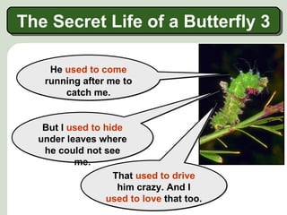 The Secret Life of a Butterfly 3

    He used to come
   running after me to
       catch me.


   But I used to hide
  under leaves where
   he could not see
          me.
                   That used to drive
                    him crazy. And I
                 used to love that too.
 