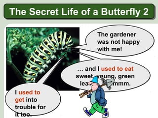 I used to
live on
plants …
I used to
live on
plants …
The gardener
was not happy
with me!
The gardener
was not happy
with me!
… and I used to eat
sweet, young, green
leaves. Mmmmm.
… and I used to eat
sweet, young, green
leaves. Mmmmm.
I used to
get into
trouble for
it too.
I used to
get into
trouble for
it too.
The Secret Life of a Butterfly 2The Secret Life of a Butterfly 2
 