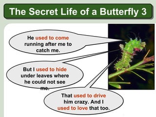 He used to come
running after me to
catch me.
He used to come
running after me to
catch me.
But I used to hide
under leaves where
he could not see
me.
But I used to hide
under leaves where
he could not see
me.
That used to drive
him crazy. And I
used to love that too.
That used to drive
him crazy. And I
used to love that too.
The Secret Life of a Butterfly 3The Secret Life of a Butterfly 3
 
