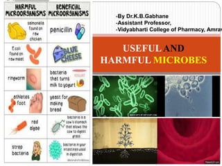 USEFULAND
HARMFUL MICROBES
-By Dr.K.B.Gabhane
-Assistant Professor,
-Vidyabharti College of Pharmacy, Amrav
 