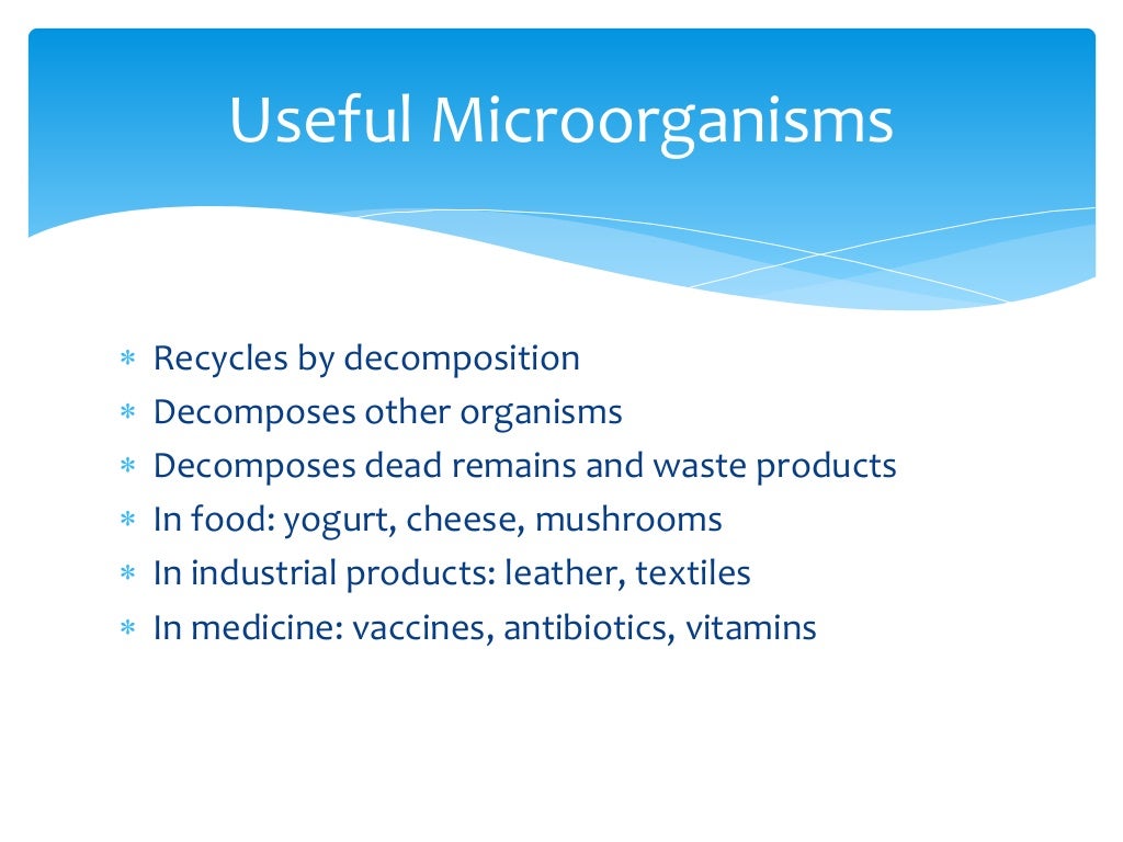 Useful and harmful microorganisms