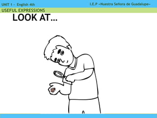 I.E.P «Nuestra Señora de Guadalupe»UNIT 1 - English 4th
USEFUL EXPRESSIONS
LOOK AT…
 