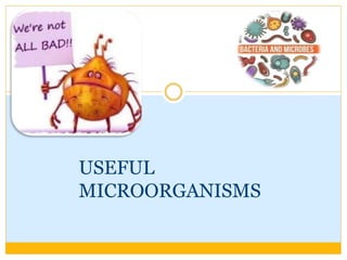 USEFUL
MICROORGANISMS
 