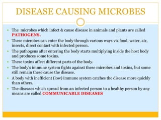 DISEASE CAUSING MICROBES
 The microbes which infect & cause disease in animals and plants are called
PATHOGENS.
 These microbes can enter the body through various ways viz food, water, air,
insects, direct contact with infected person.
 The pathogens after entering the body starts multiplying inside the host body
and produces some toxins.
 These toxins affect different parts of the body.
 The body’s immune system fights against these microbes and toxins, but some
still remain these cause the disease.
 A body with inefficient (low) immune system catches the disease more quickly
than others.
 The diseases which spread from an infected person to a healthy person by any
means are called COMMUNICABLE DISEASES
 
