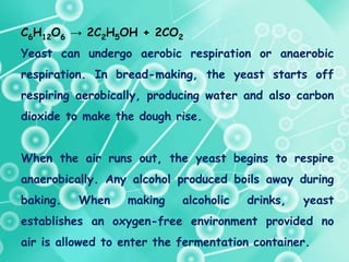 C6H12O6 → 2C2H5OH + 2CO2
Yeast can undergo aerobic respiration or anaerobic
respiration. In bread-making, the yeast starts off
respiring aerobically, producing water and also carbon
dioxide to make the dough rise.
When the air runs out, the yeast begins to respire
anaerobically. Any alcohol produced boils away during
baking. When making alcoholic drinks, yeast
establishes an oxygen-free environment provided no
air is allowed to enter the fermentation container.
 