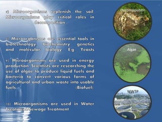 Decomposition
Algae
WWTP
 