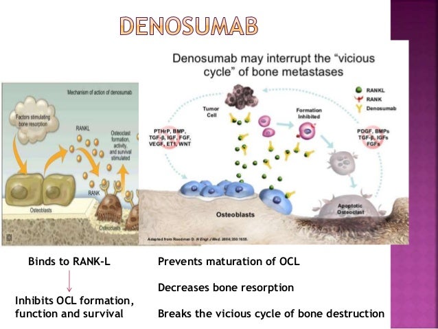 Usefulness of denosumab to non squamous non small