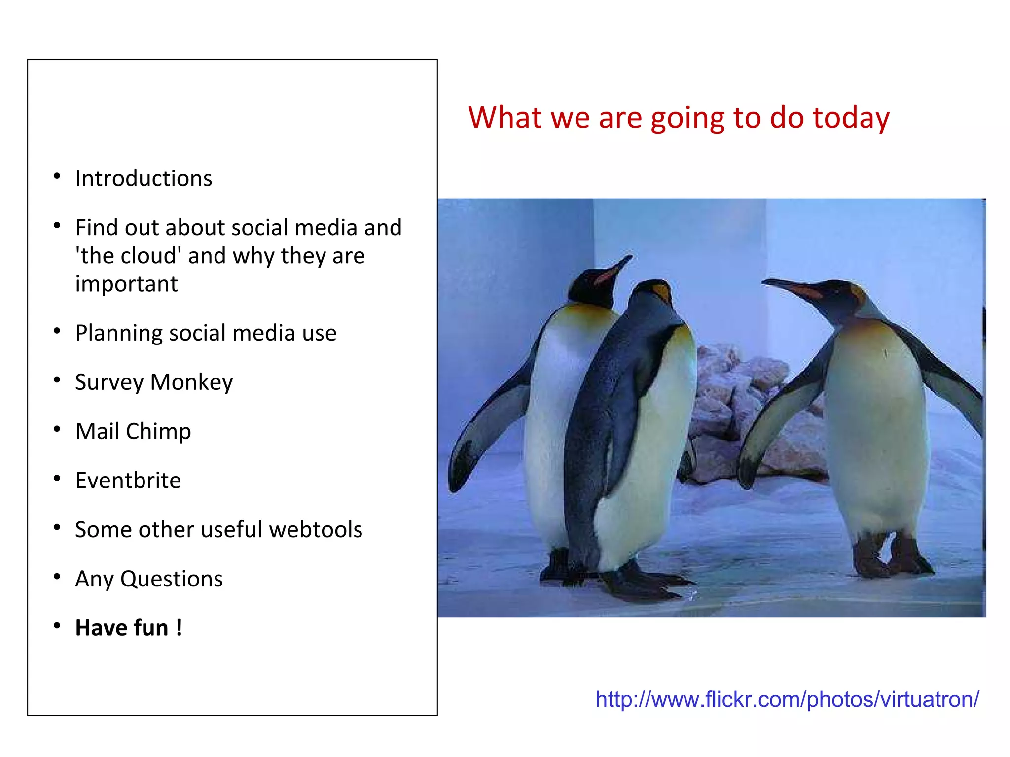 What we are going to do today
• Introductions
• Find out about social media and
  'the cloud' and why they are
  important
• Planning social media use
• Survey Monkey
• Mail Chimp
• Eventbrite
• Some other useful webtools
• Any Questions
• Have fun !

                                            http://www.flickr.com/photos/virtuatron/
 