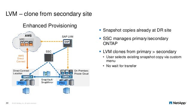 Use Hybrid Cloud to Streamline SAP with NetApp, AWS and SAP LVM