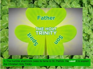 3. The humble shamrock owes its fame to St. Patrick. He used it to explain
the Christian Holy Trinity.
 