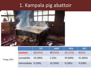Present and future use of antimicrobials in pigs with case studies from Uganda and Vietnam