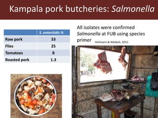 Present and future use of antimicrobials in pigs with case studies from Uganda and Vietnam