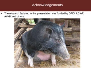 Present and future use of antimicrobials in pigs with case studies from Uganda and Vietnam