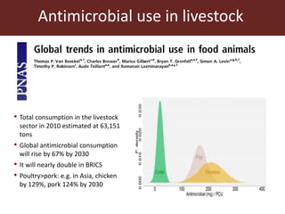 Present and future use of antimicrobials in pigs with case studies from Uganda and Vietnam