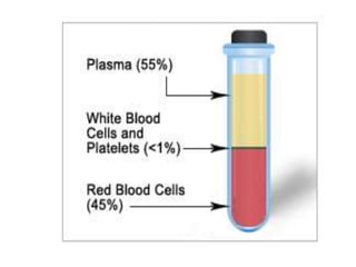 Use of Blood Components in Clinical Practice - Part 1 | PPTX