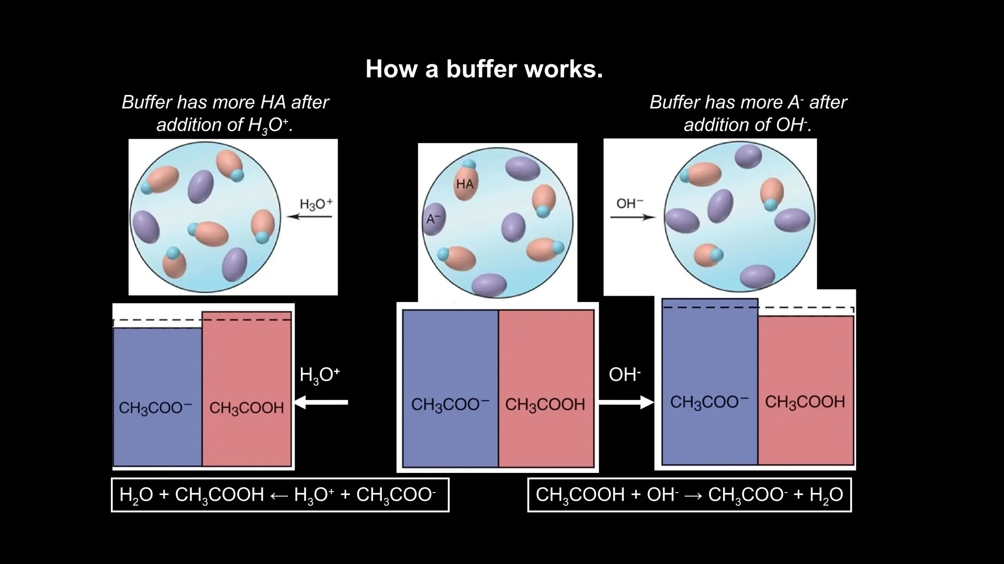How a buffer works.
Buffer has equal
concentrations of A-
and HA.
H3O+
Buffer has more HA after
addition of H3O+
.
H2O + CH3COOH ← H3O+
+ CH3COO-
OH-
Buffer has more A-
after
addition of OH-
.
CH3COOH + OH-
→ CH3COO-
+ H2O
 