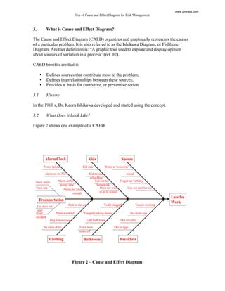 Use of Causeand Effect Diagrams for Risk Management | PDF