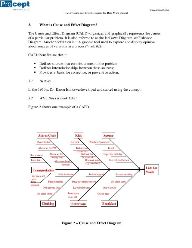 Use of Causeand Effect Diagrams for Risk Management