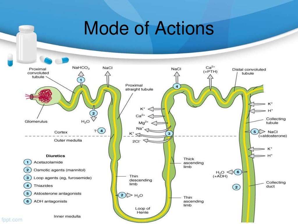 Congestive heart failure and diuretics doctorvisit