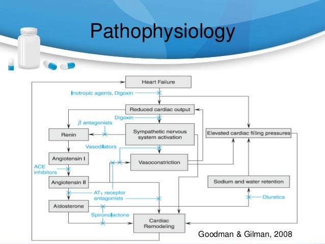 chf pathophysiology