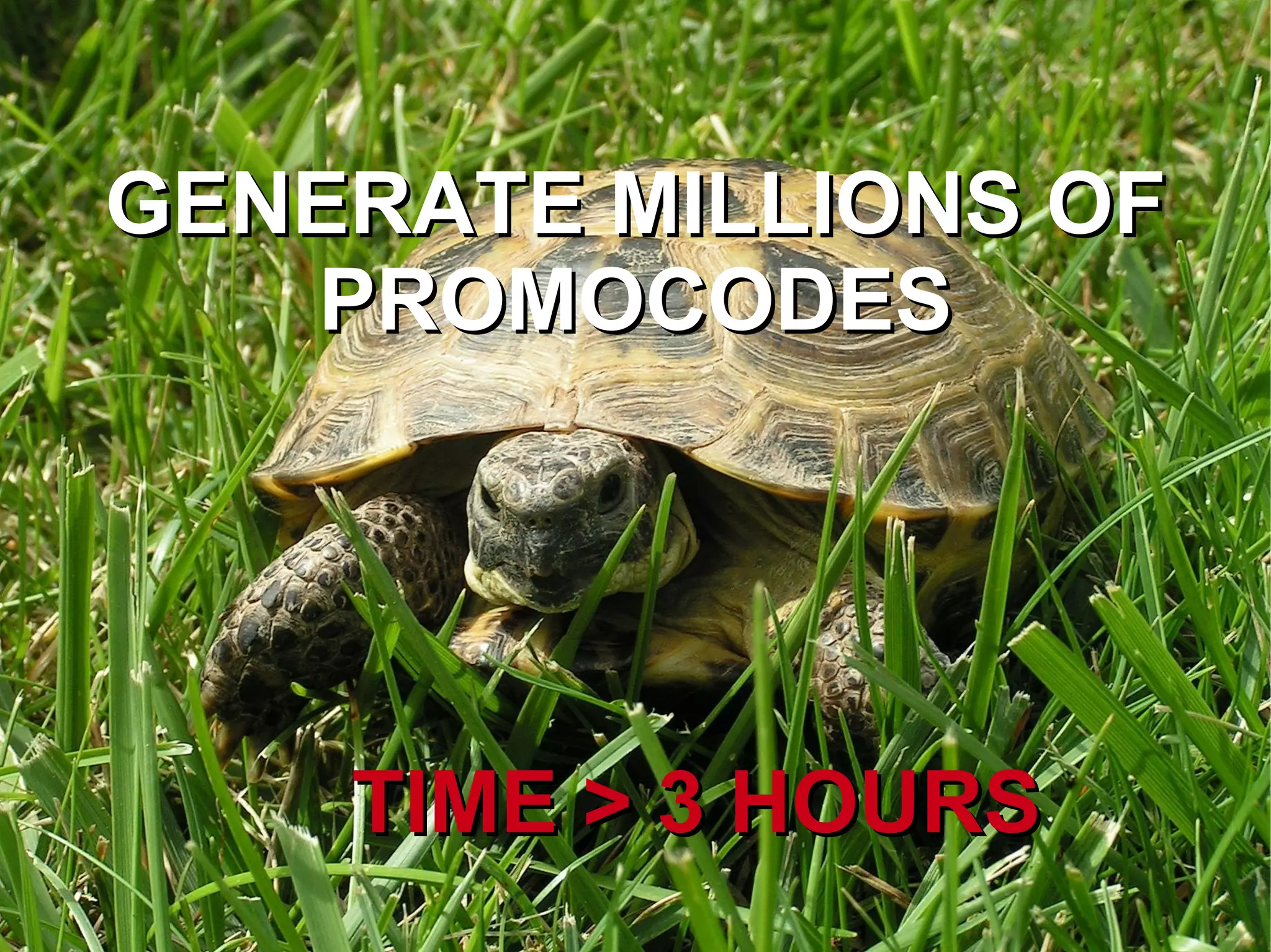 # Instance Do fancy stuff 