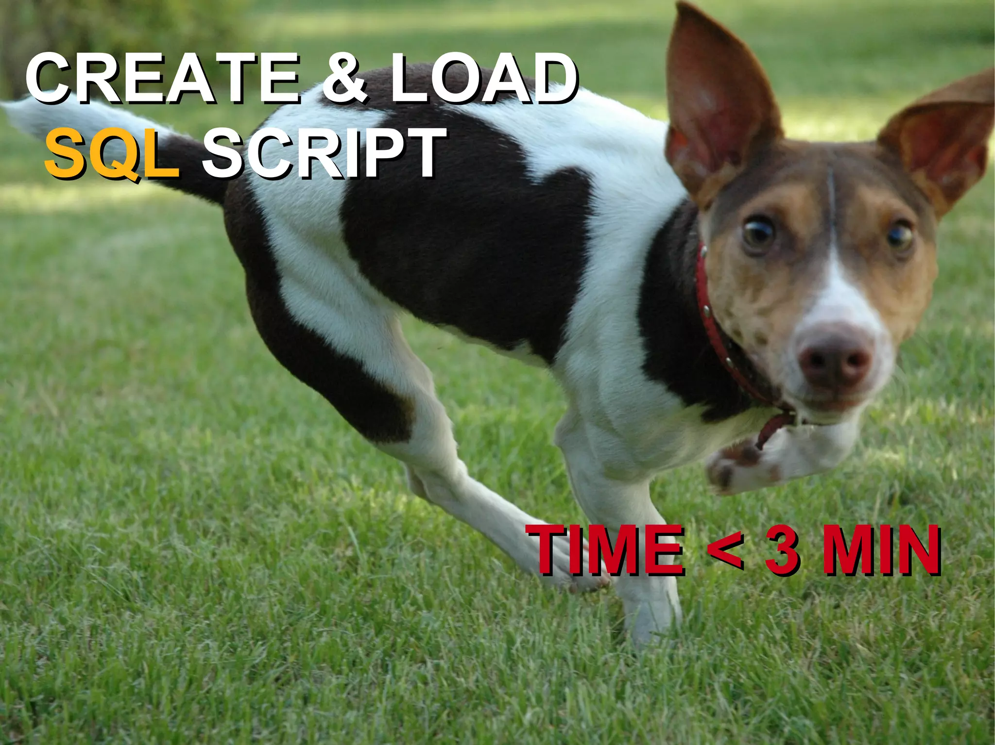 d = LineChart(WIDTH, HEIGTH) 