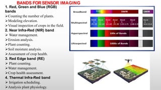 BANDS FORSENSOR IMAGING
1. Red, Green and Blue (RGB)
bands
Counting the number of plants.
Modeling elevation.
Visual inspection of crops in the field.
2. Near Infra-Red (NIR) band
 Water management.
Erosion analysis.
Plant counting.
Soil moisture analysis.
Assessment of crop health.
3. Red Edge band (RE)
 Plant counting.
Water management.
Crop health assessment.
4. Thermal Infra-Red band
 Irrigation scheduling.
Analysis plant physiology.
 