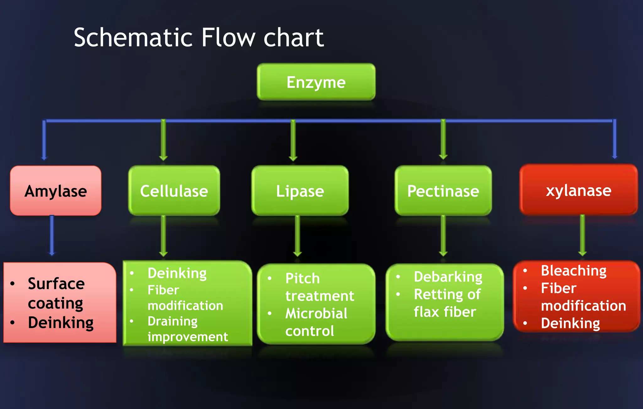 Use of enzyme in paper industry | PPTX