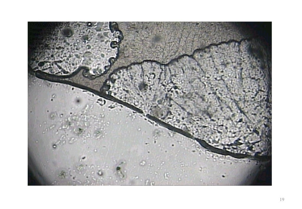 Use Of Freeze Drying Microscopy To Determine Critical Parameters