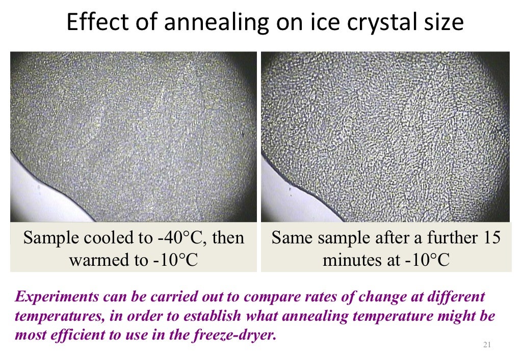 Use Of Freeze Drying Microscopy To Determine Critical Parameters