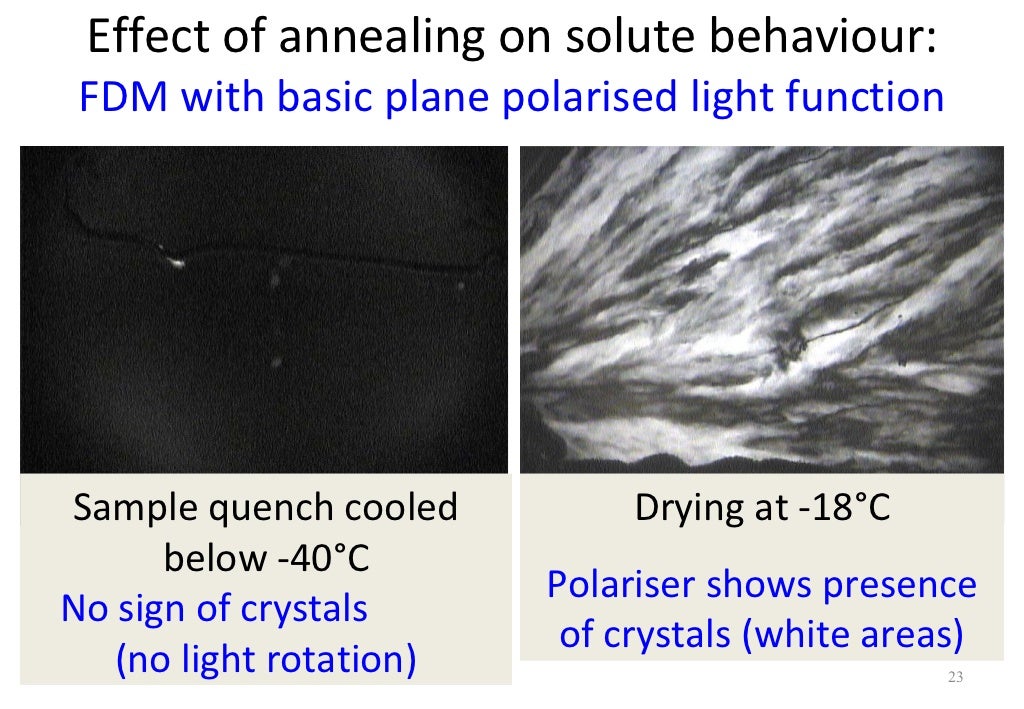 Use Of Freeze Drying Microscopy To Determine Critical Parameters