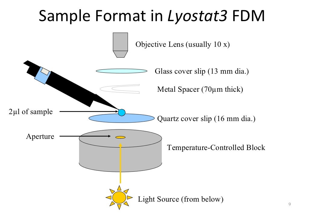 Use Of Freeze Drying Microscopy To Determine Critical Parameters