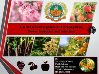 Use of Growth regulators in propagation,
flower induction and retention
By
Mr. Sanjay Chetry
Ph.D. Scholar
Dept. of Fruit Science
TNAU, Coimbatore
ID: 2020632001
 