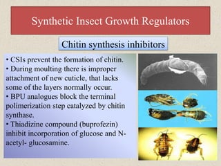 Citin Insect useofigrsinpestsmanagement-190505120642.pdf